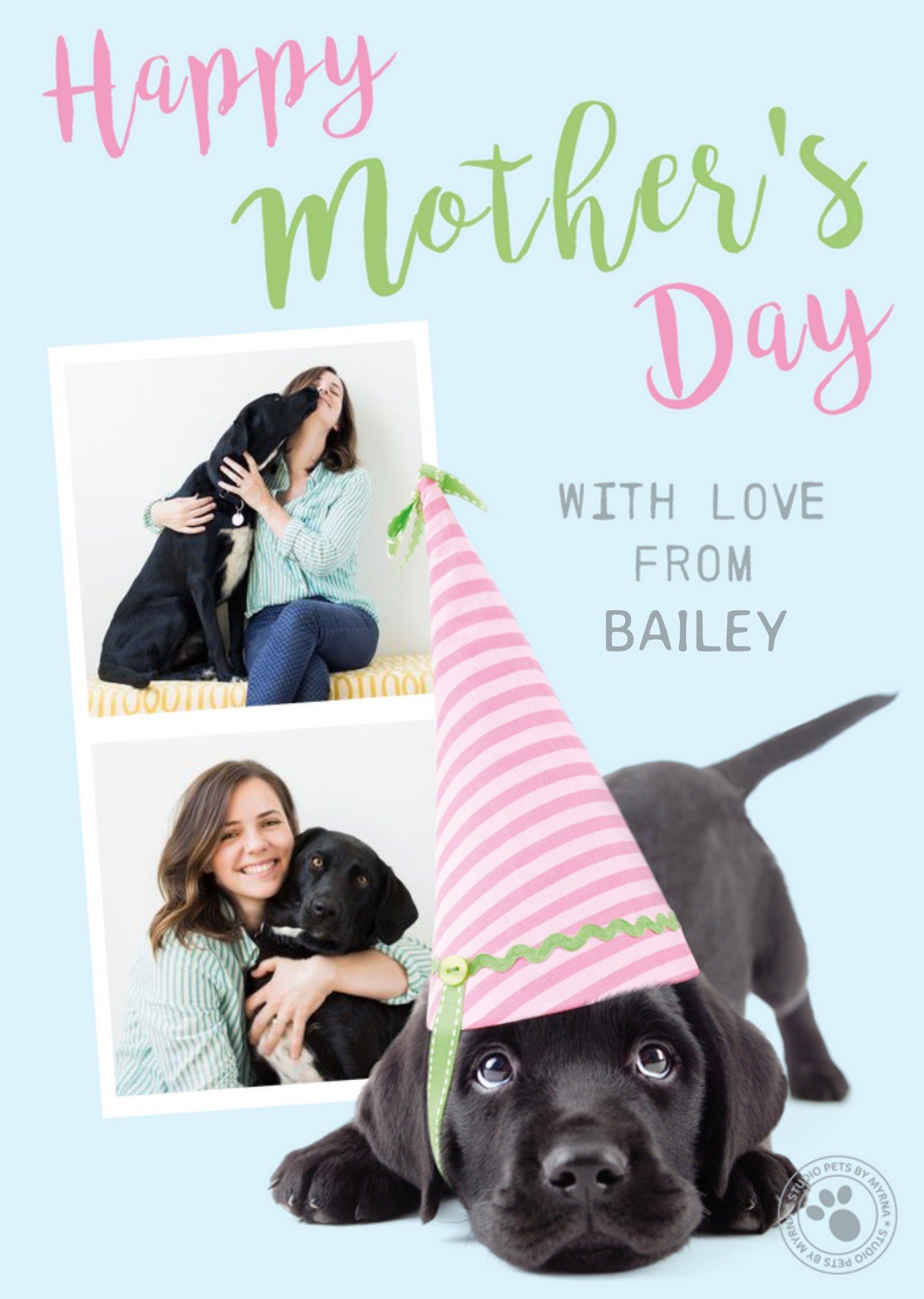 Cute Studio Pets From The Dog Photo Upload Mother's Day Card