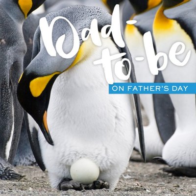 Penguin Dad-To-Be Fathers Day Card