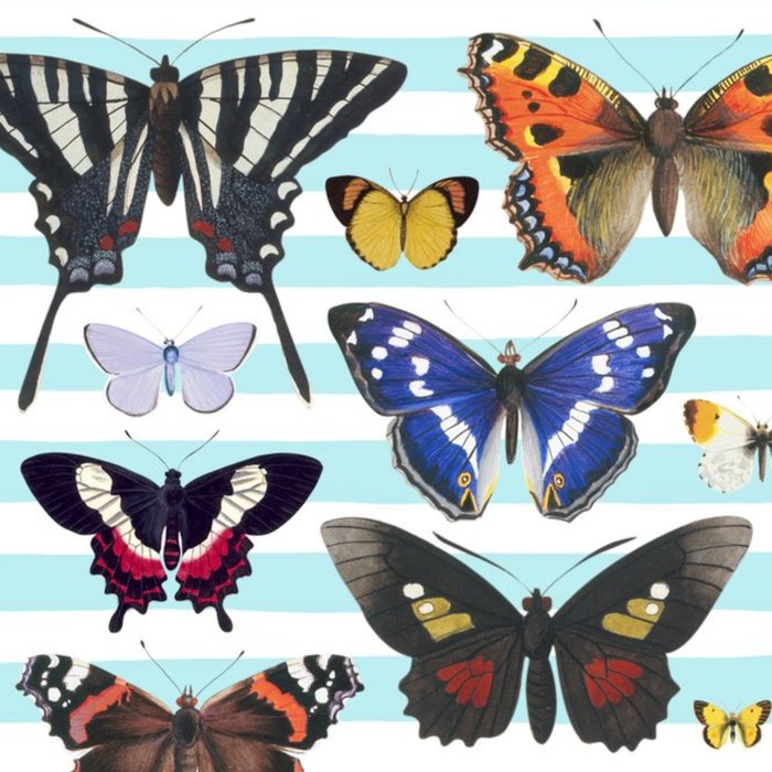 Multi-Butterfly Striped Card