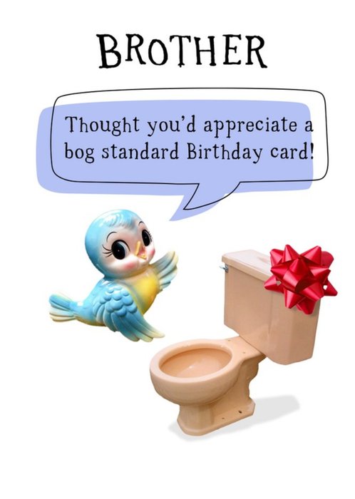 Funny Bog Standard Birthday Card