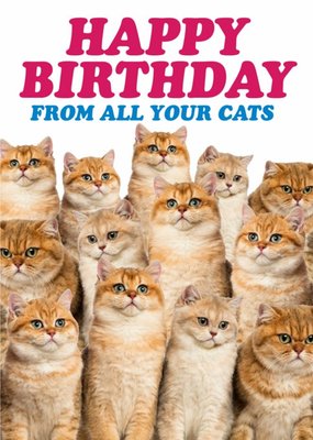 Dean Morris From All You Cats Birthday Card