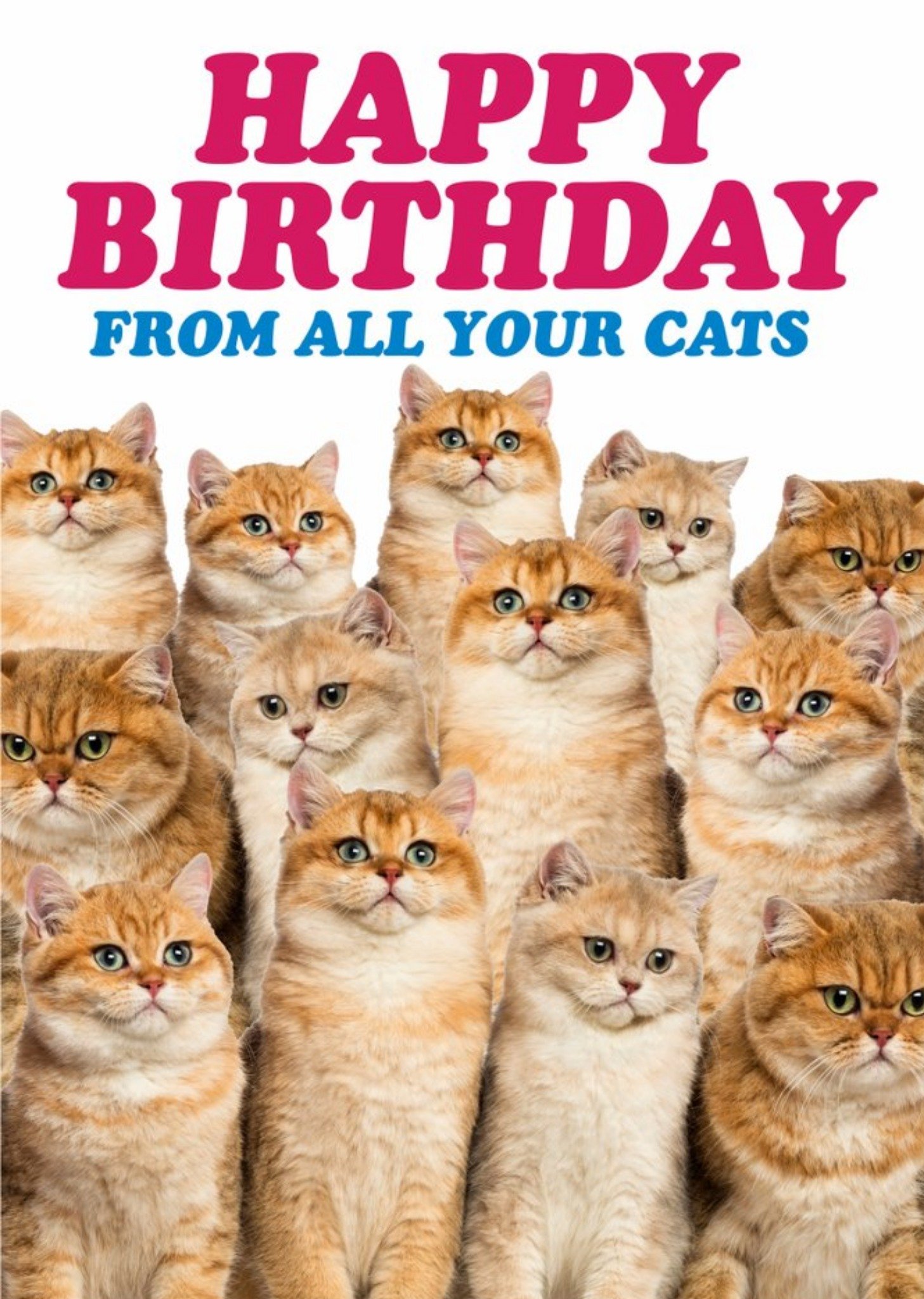 Moonpig Dean Morris From All You Cats Birthday Card, Large