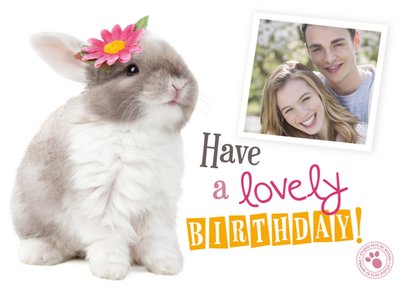 Adorable Bunny Happy Birthday Photo Upload Card