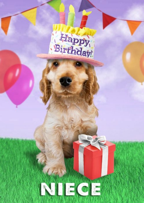 Cute Dog Wearing Birthday Cake Hat Birthday Card