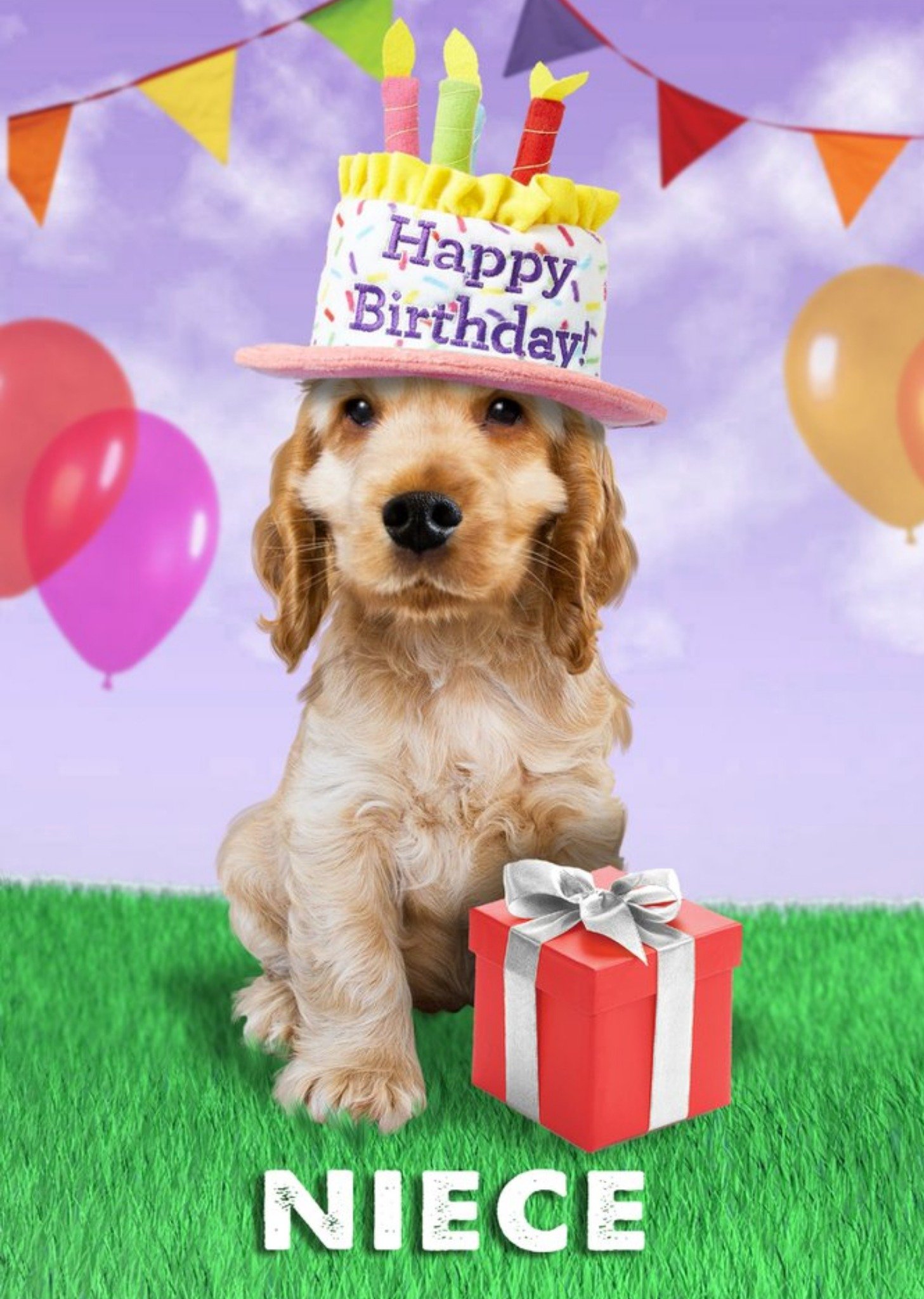 Moonpig Cute Dog Wearing Birthday Cake Hat Birthday Card, Large