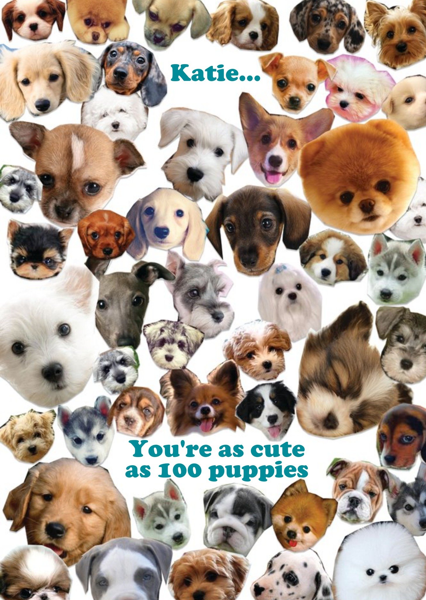 You're As Cute As 100 Puppies Personalised Happy Birthday Card Ecard