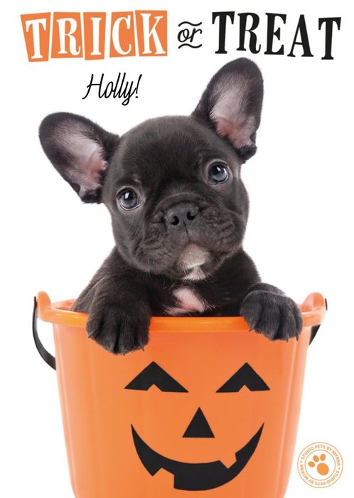 Cute Puppy Trick Or Treat Personalised Halloween Card