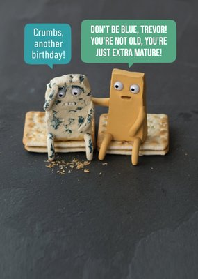 Cheese Pun Birthday Postcard