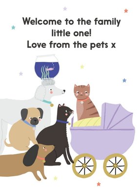 Illustrated Cute New Baby Welcome to the family from the pets Card x