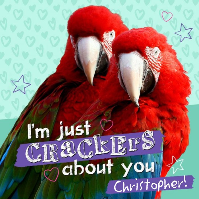 I'm Just Crackers About You Parrots Personalised Happy Valentine's Day Card