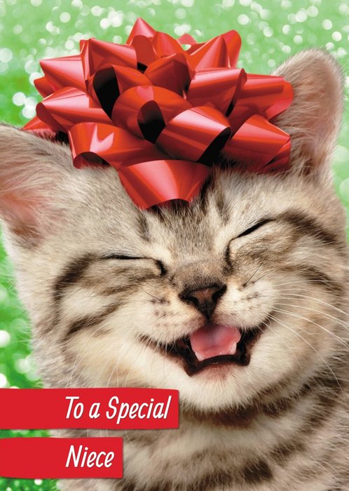 Cute Kitten Niece Christmas card
