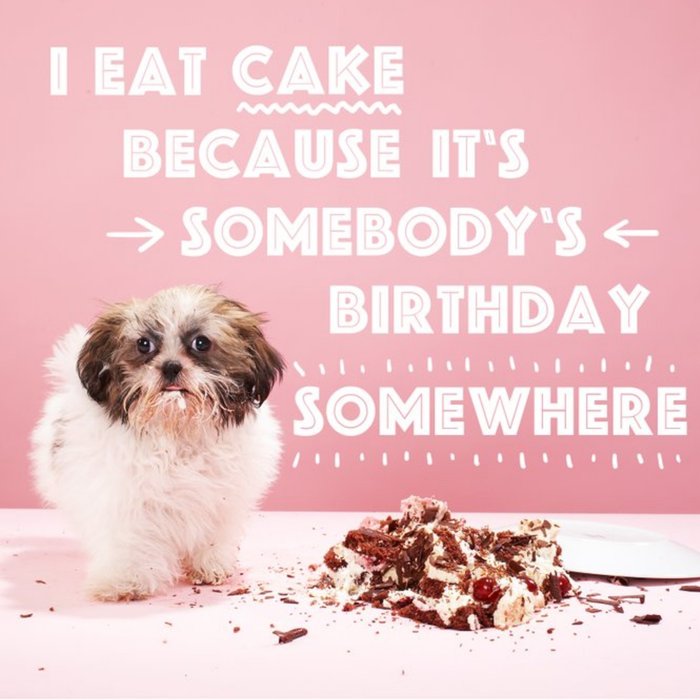 I Eat Cake Because Its Somebodys Birthday Somewhere Card