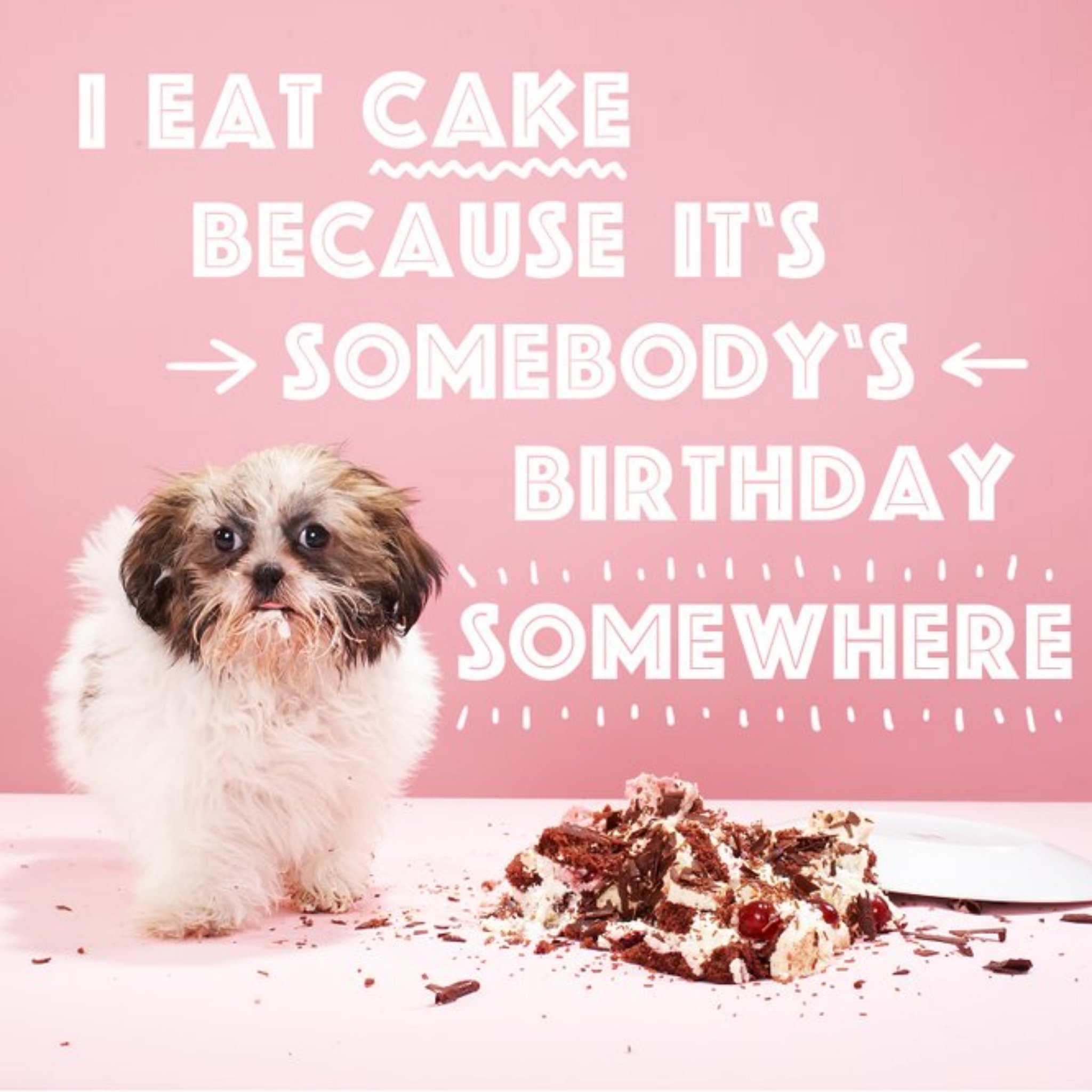 Moonpig I Eat Cake Because Its Somebodys Birthday Somewhere Card, Square