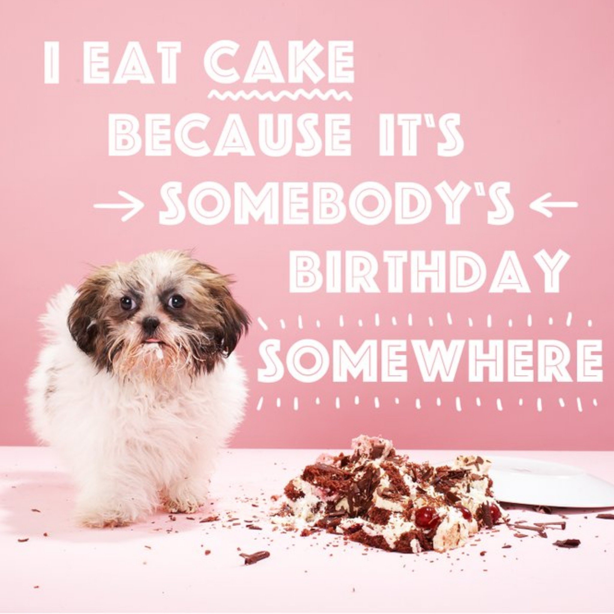 I Eat Cake Because Its Somebodys Birthday Somewhere Card, Square