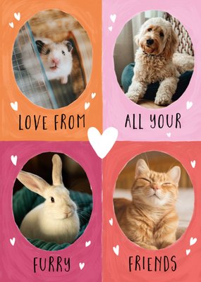 Four Colourful Sections With Oval Photo Frames From Your Pets Photo Upload Valentine's Day Card
