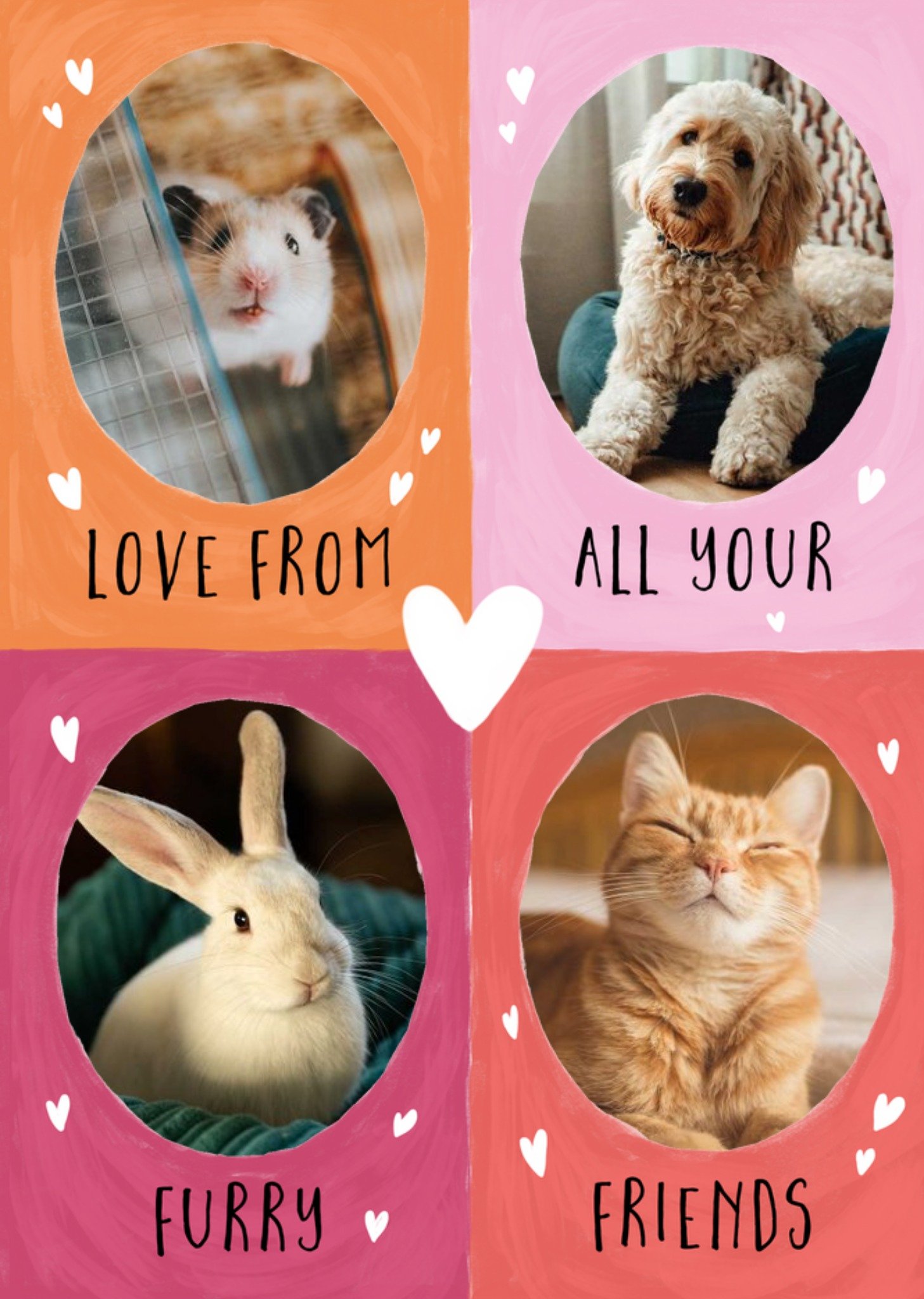 Four Colourful Sections With Oval Photo Frames From Your Pets Photo Upload Valentine's Day Card Ecard