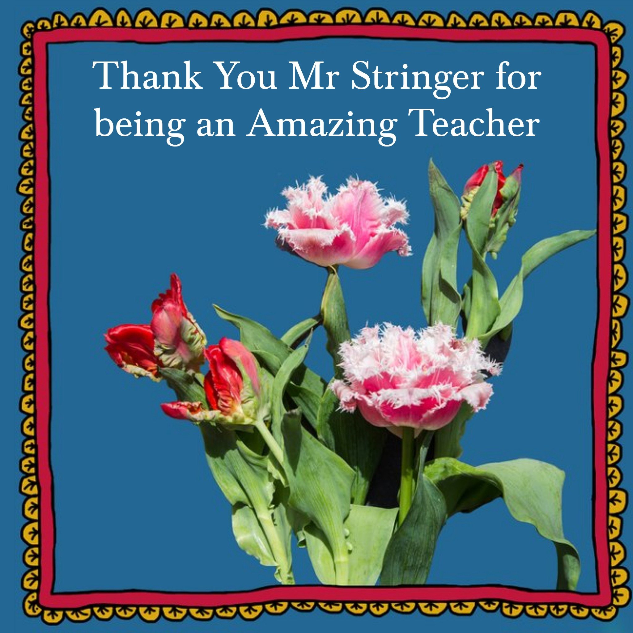 Floral Alex Sharp Photographic Amazing Teacher Thank You Card, Square