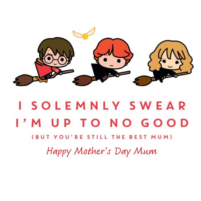 Harry Potter I Am Up To No Good Personalised Mother's Day Card