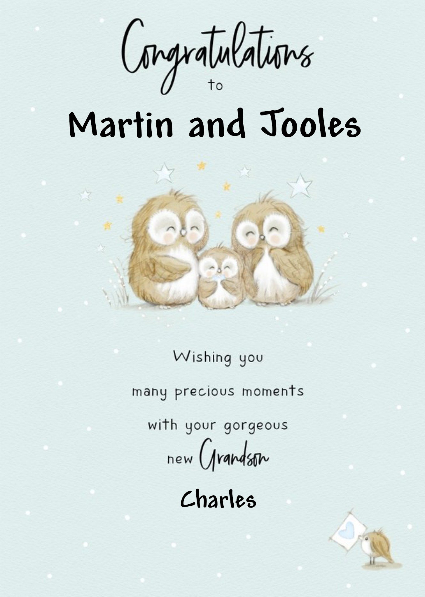 Moonpig Illustrated Owls Customisable New Grandparents Card Ecard
