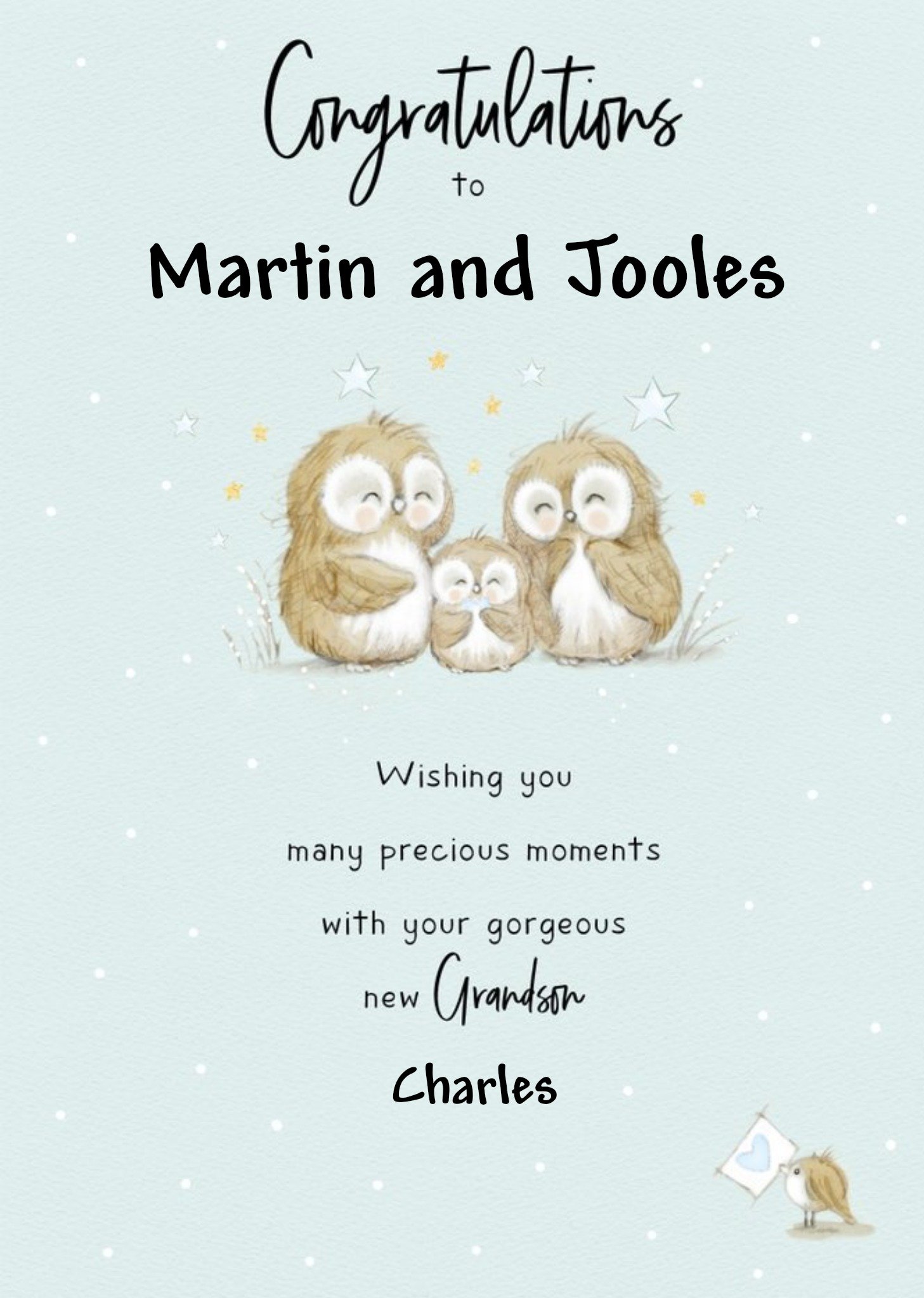 Illustrated Owls Customisable New Grandparents Card Ecard