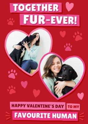 Sweet Together Fur-Ever My Favourite Human Photo Upload Valentine's Day Card