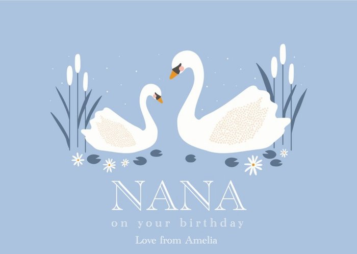 LR Studio Illustrated Swans Grandmother Senior Birthday Card