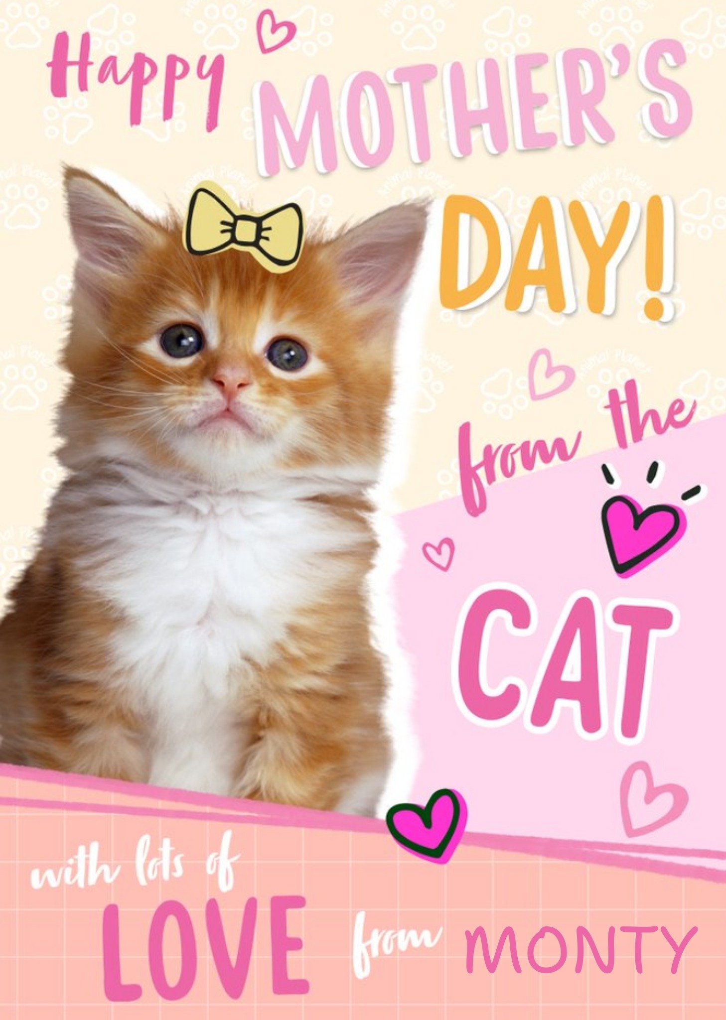 Moonpig Animal Planet Happy Mother's Day From The Cat Cute Card Ecard
