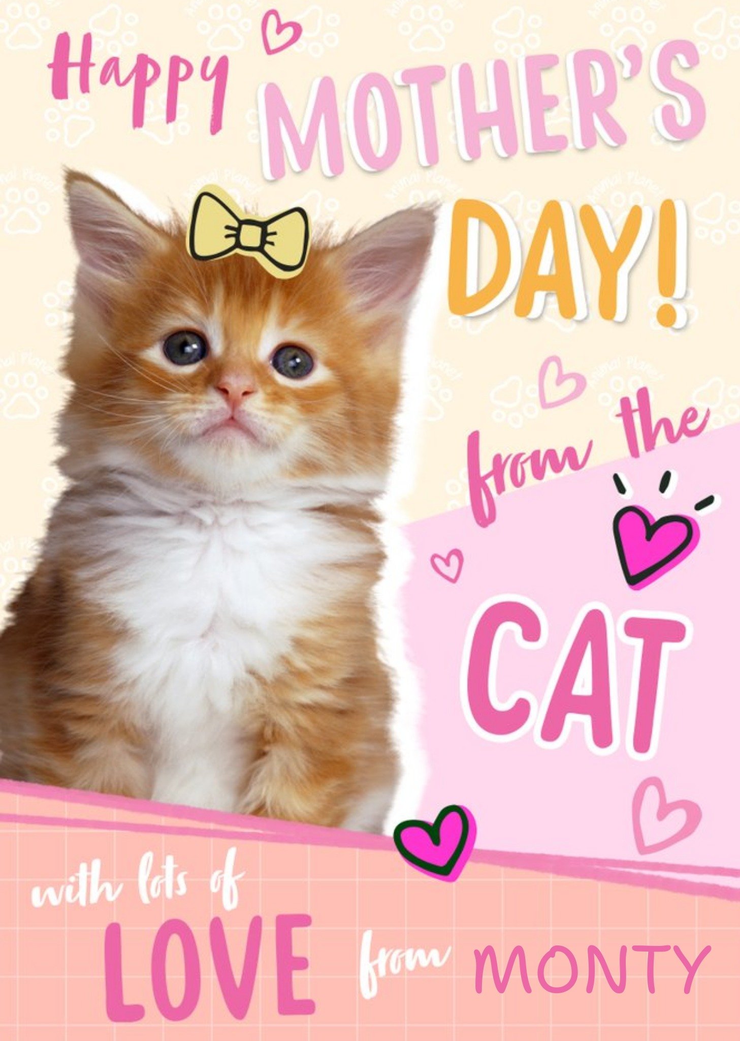 Animal Planet Happy Mother's Day From The Cat Cute Card Ecard