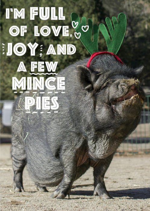 Pig And Mince Pies Personalised Christmas Card