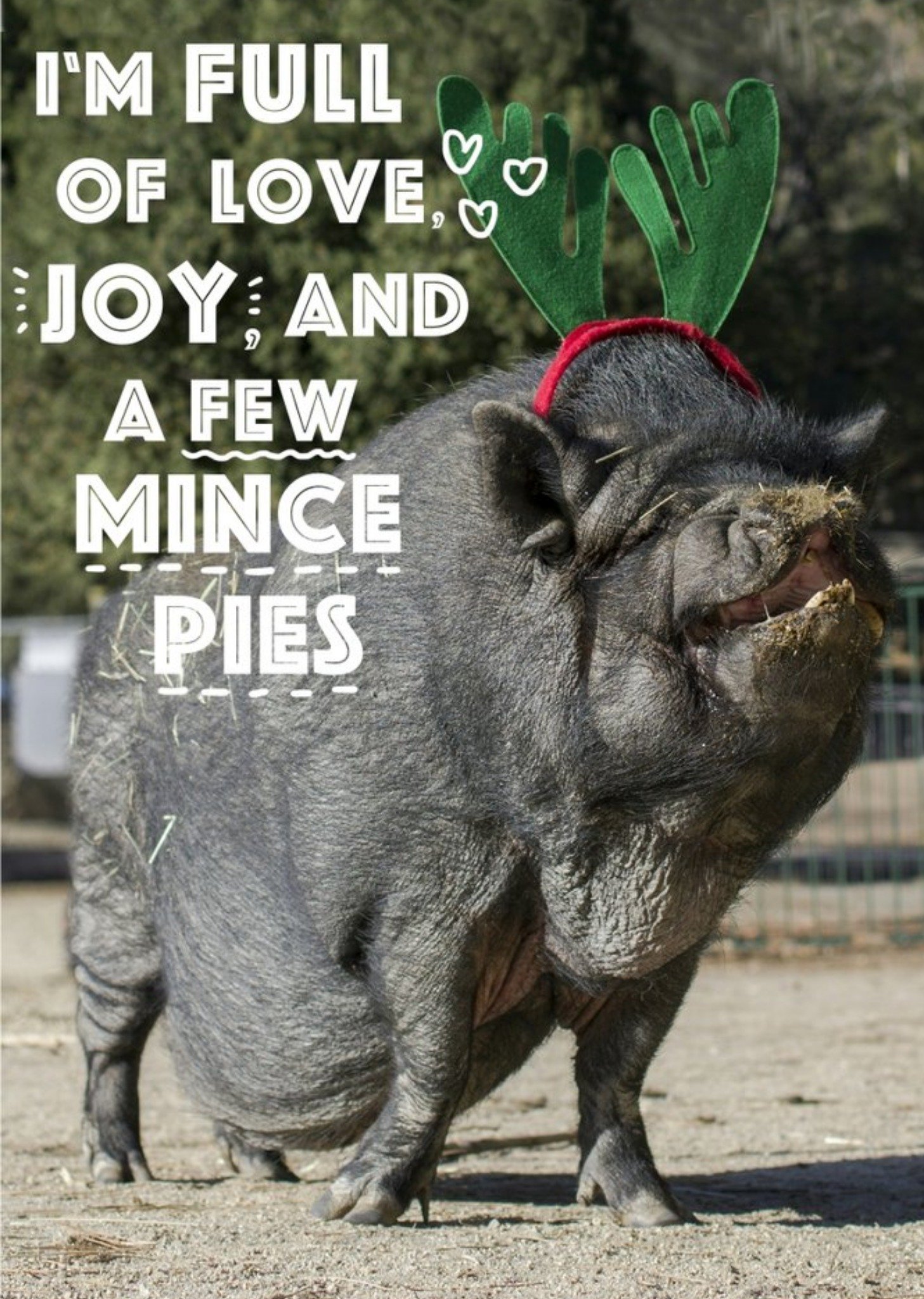 Moonpig Pig And Mince Pies Personalised Christmas Card, Large
