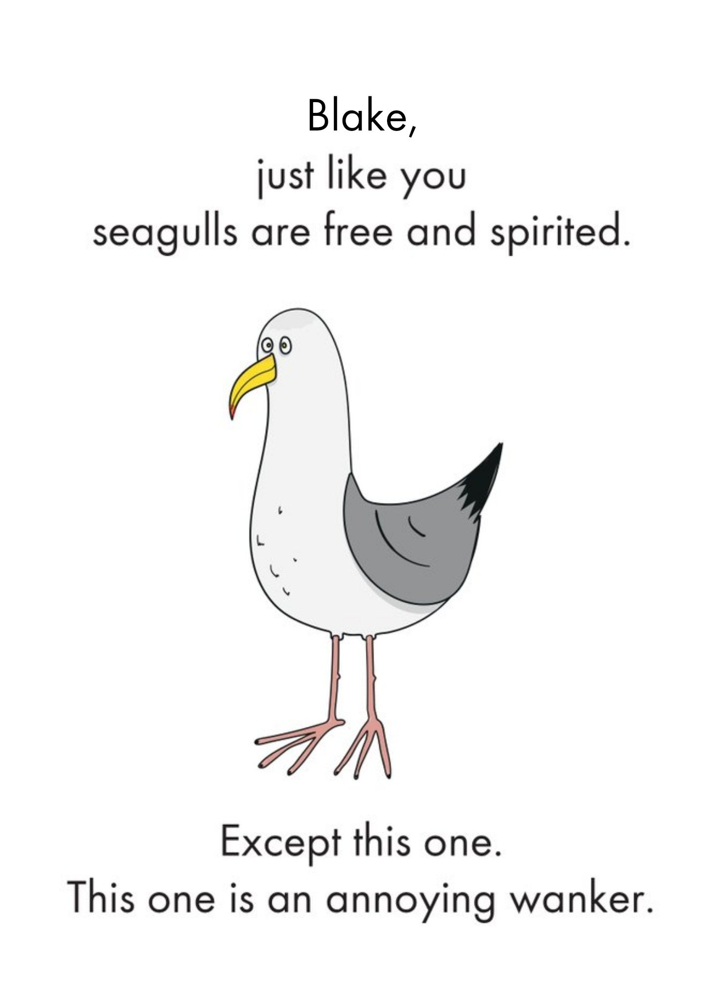 Other Objectables Free And Spirited Seagull Funny Birthday Card, Large