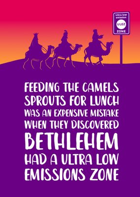 Feeding The Camels Sprouts Was An Expensive Mistake Christmas Card