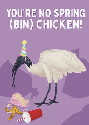 Illustration Of A Bin Chicken Feasting On Cake Birthday Card