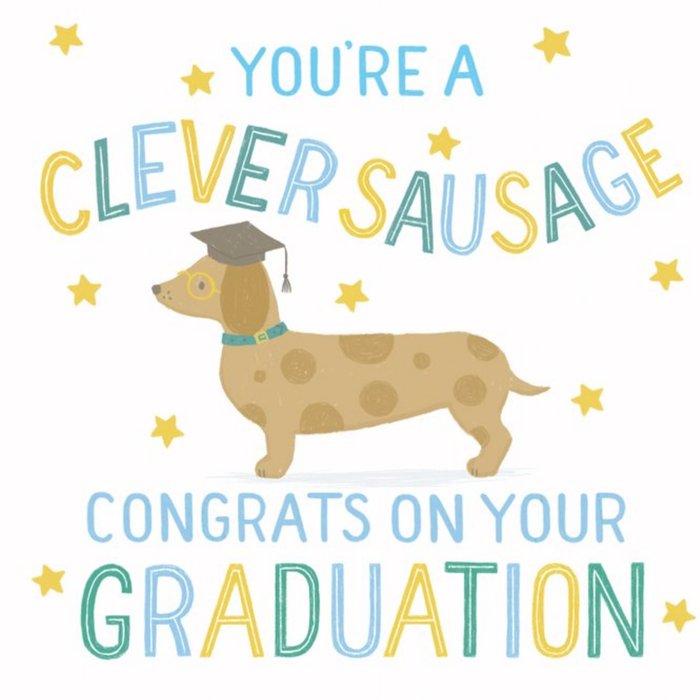 Claire Nicholson illustrated sausage dog with gold stars graduation card
