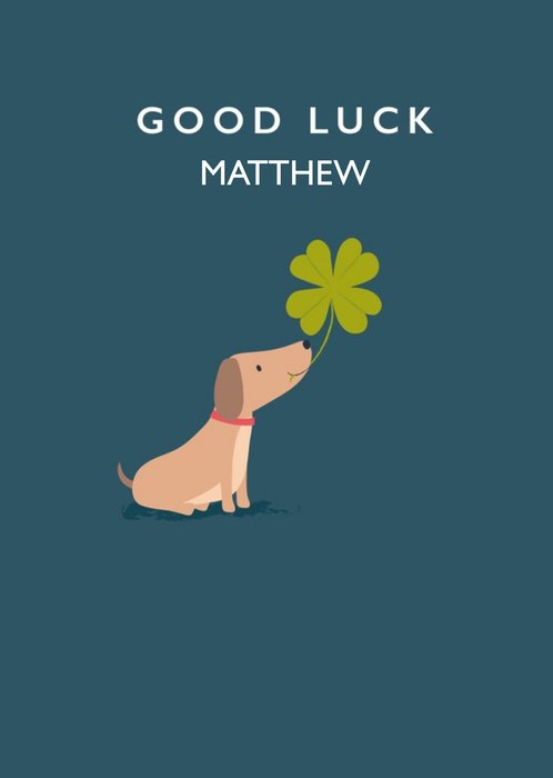  Cute Dog With Four Leaf Clover Good Luck Card