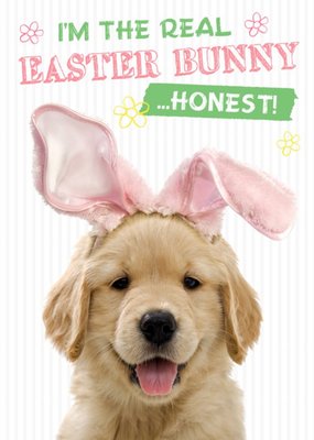 Adorable Puppy I Am The Real Easter Bunny Card