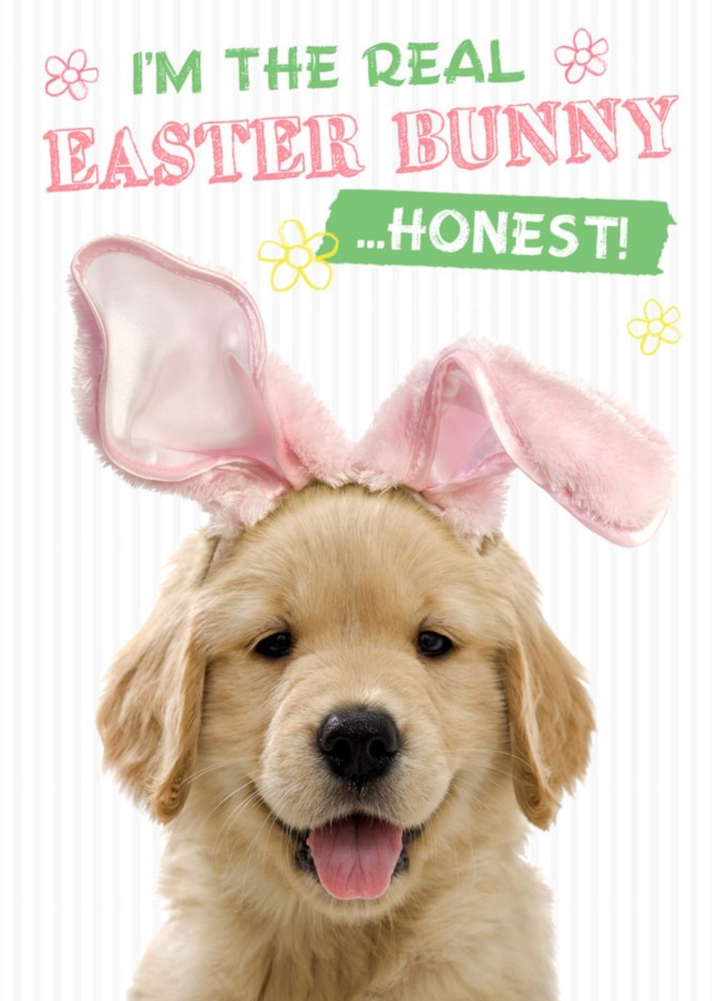Moonpig Adorable Puppy I Am The Real Easter Bunny Card Ecard