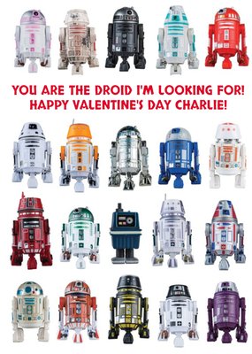 Star Wars You AreThe Droid I'm looking For Valentine's Day Card