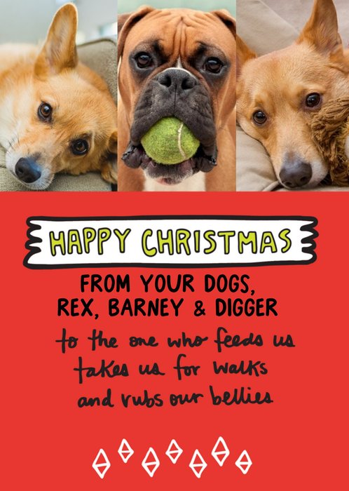 Happy Christmas From The Dogs Photo Upload Card