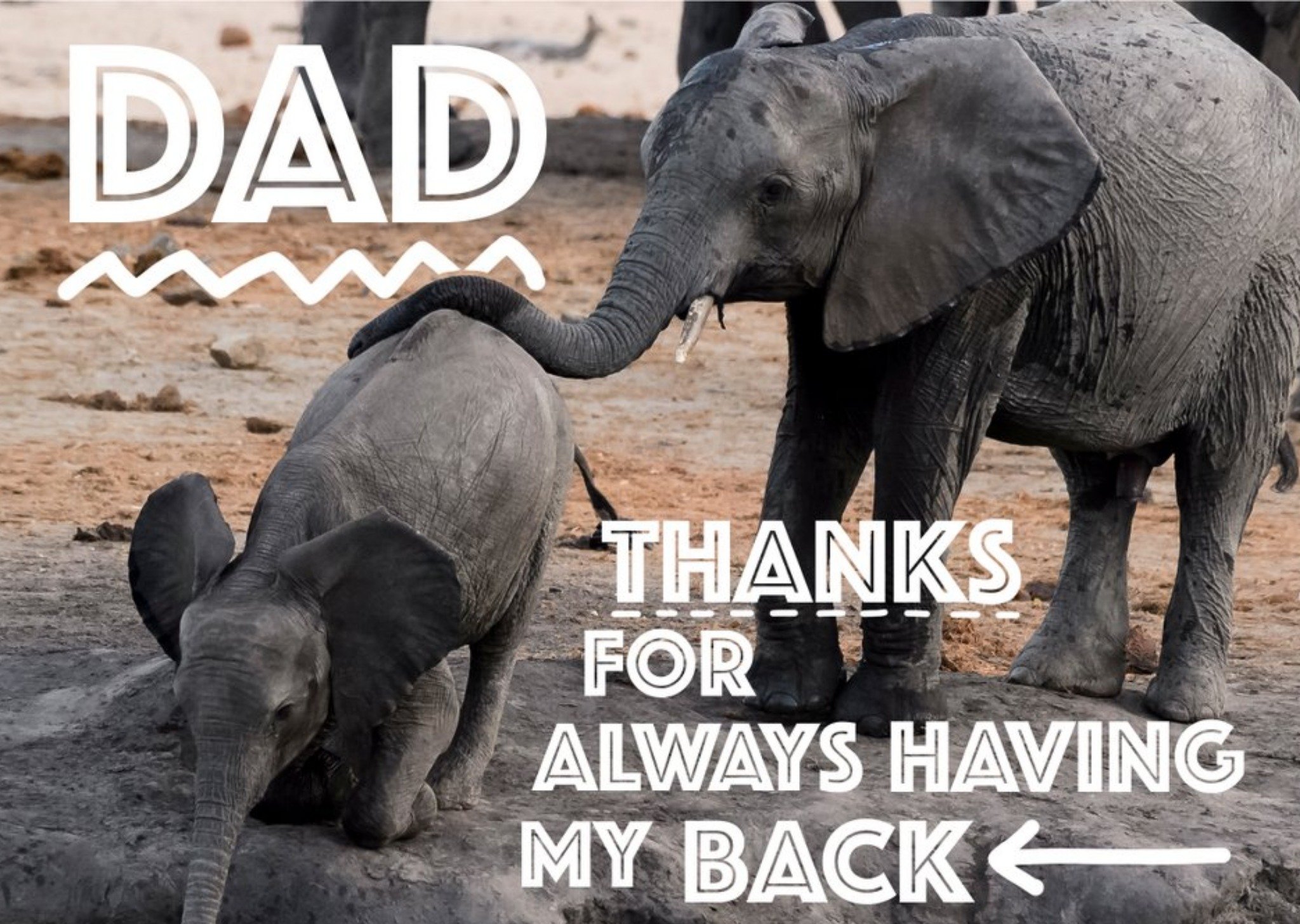 Thanks For Always Having My Back Elephant Card Ecard