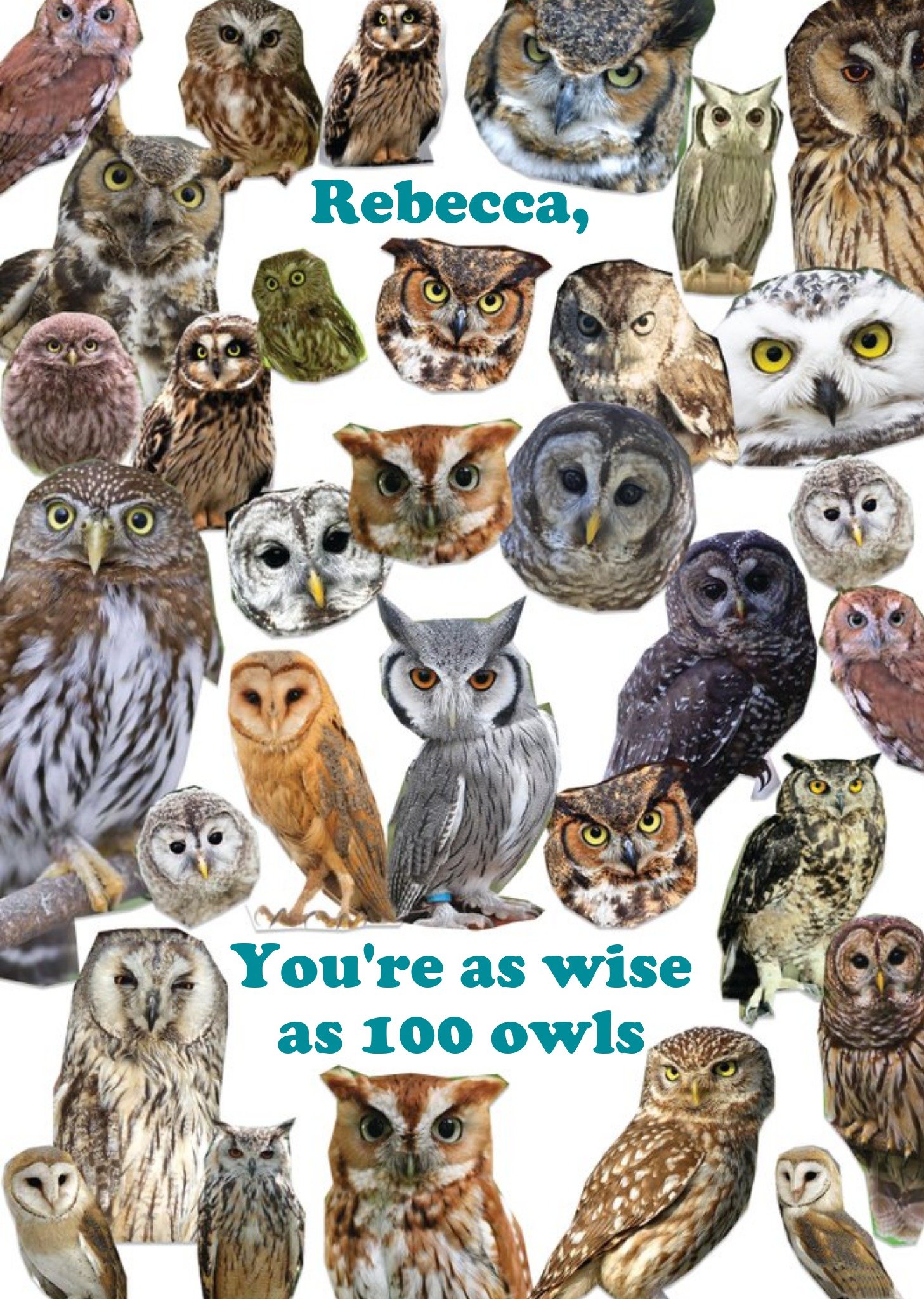 Moonpig You're As Wise As 100 Owls Personalised Greetings Card Ecard