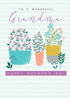 Illustrated Plants and Flowers To A Wonderful Grandma