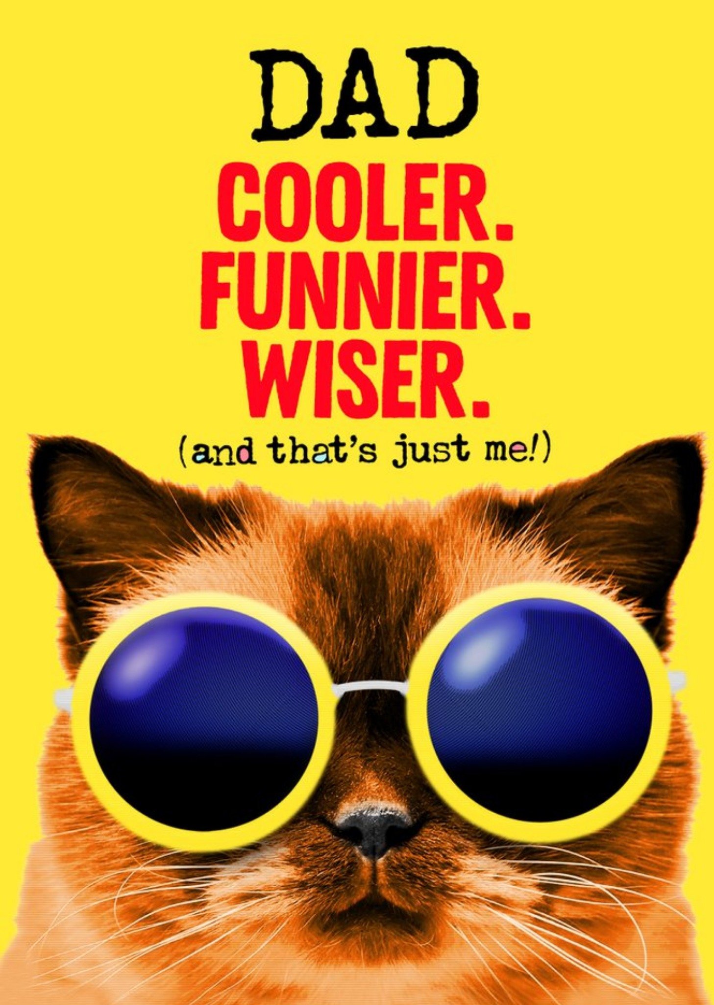 Dad Cooler Funnier Wiser Card Ecard