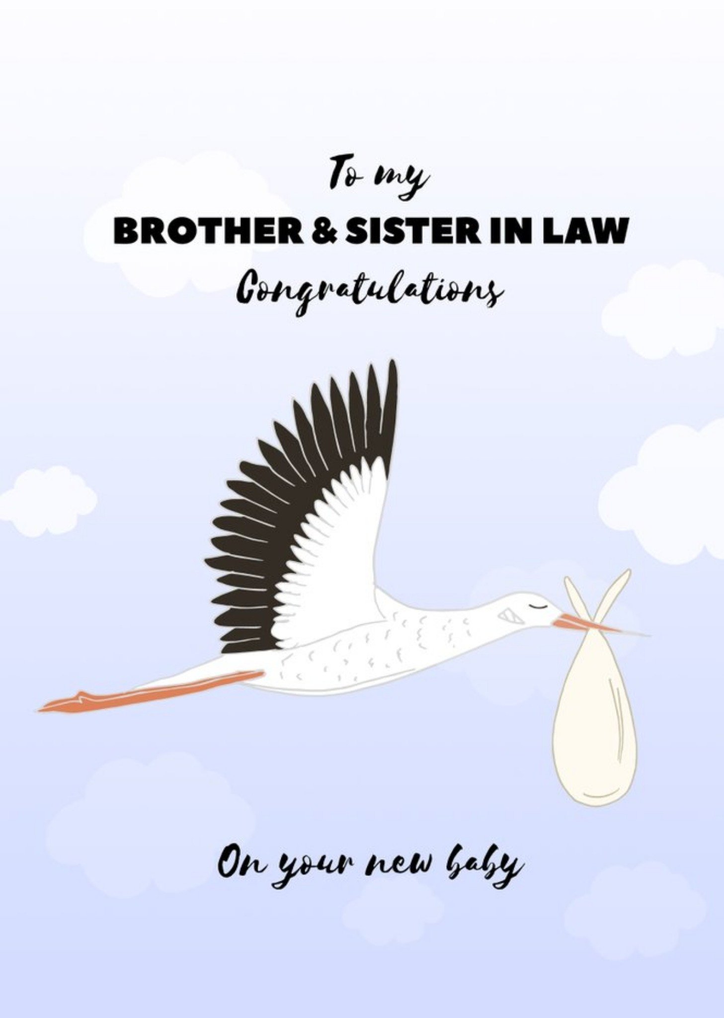 Pearl And Ivy Illustrated Stork Brother & Sister-In-Law New Baby Congratulations Card