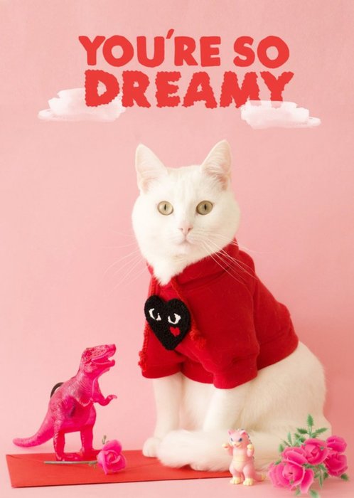 Jolly Awesome You're So Dreamy Cat Funny Card