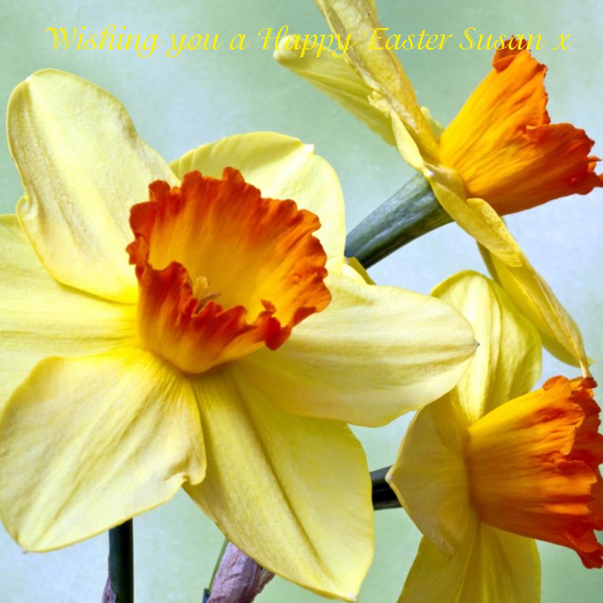 Moonpig Yellow Spring Flowers Happy Easter Sunday Card, Square