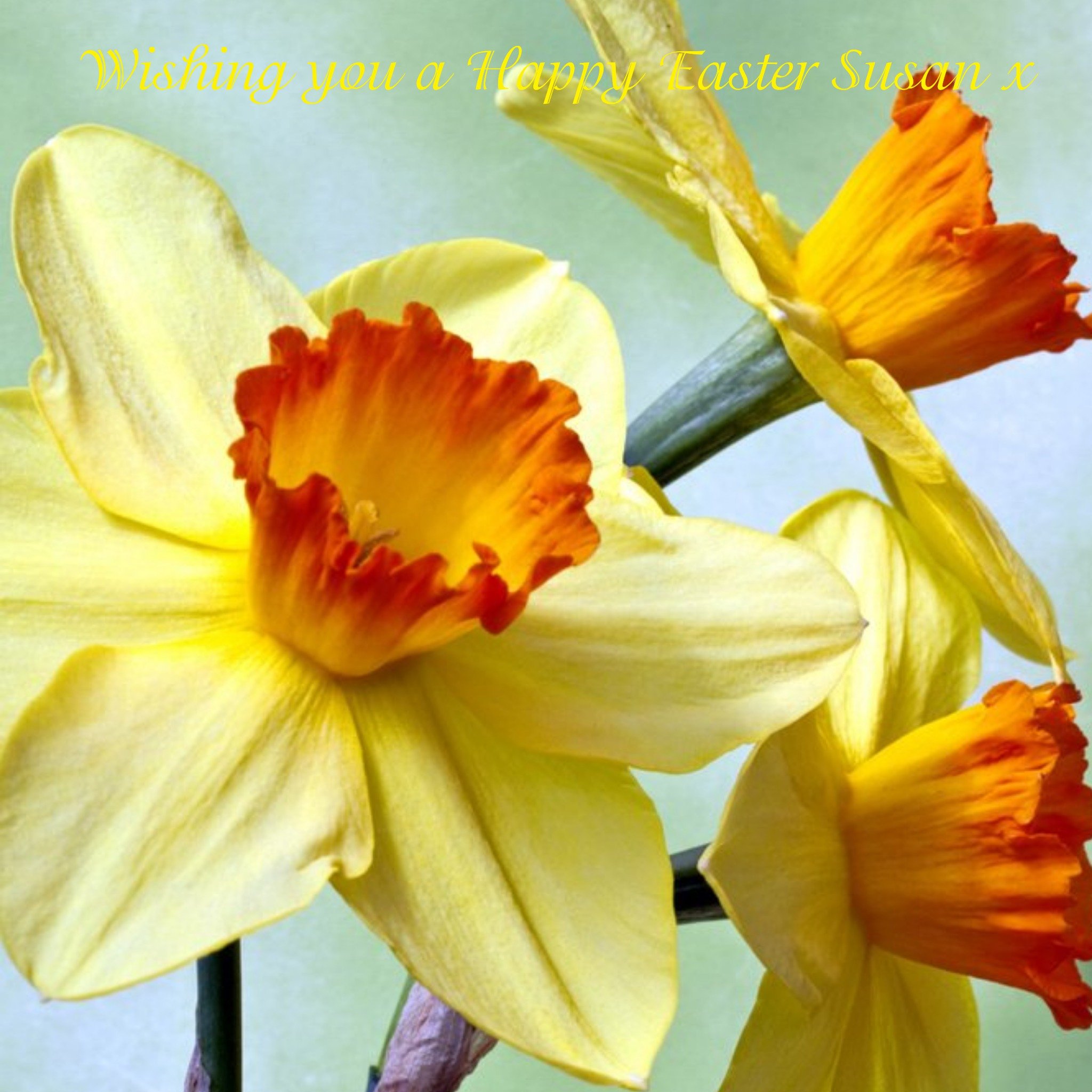 Yellow Spring Flowers Happy Easter Sunday Card, Square