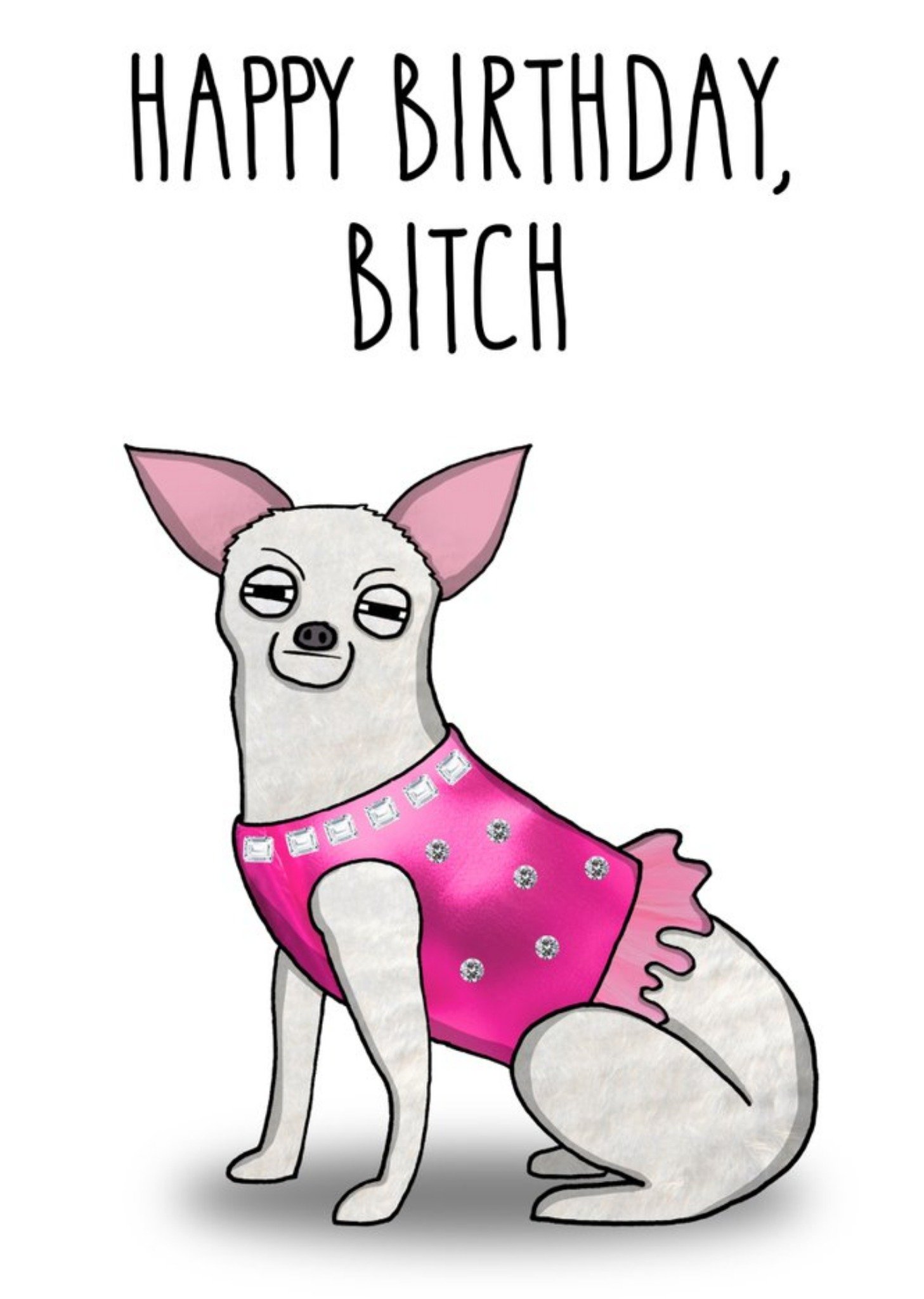 Friends All The Best Illustration Chihuahua Dog Rude Pink Bitch Birthday Card, Large