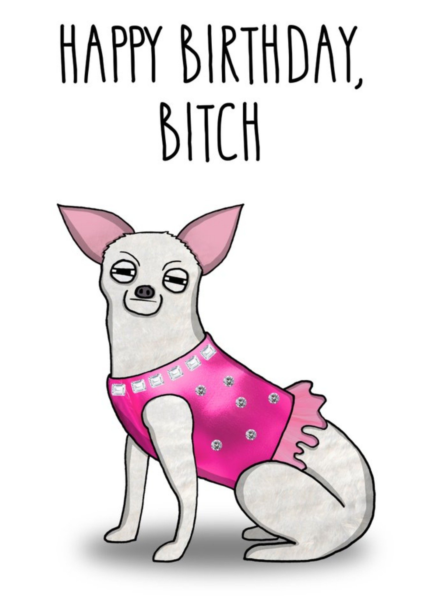 Friends All The Best Illustration Chihuahua Dog Rude Pink Bitch Birthday Card Ecard