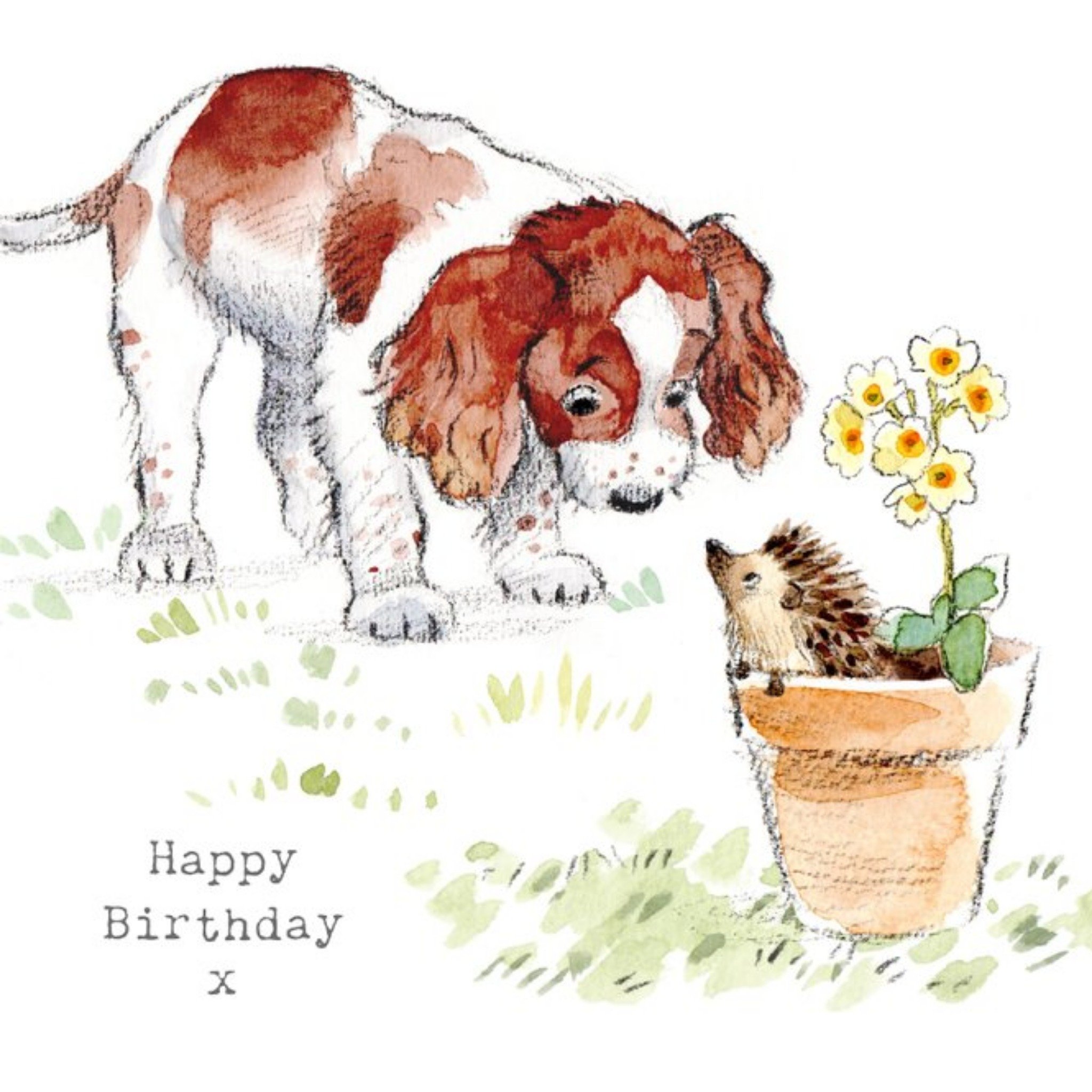 Moonpig Cute Illustrated Springer Spaniel Birthday Card, Square